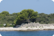 The shore in Slatinica Bay on the island of Olib: photo by Zoran Pelikan